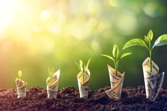 TSP automatic enrollment program